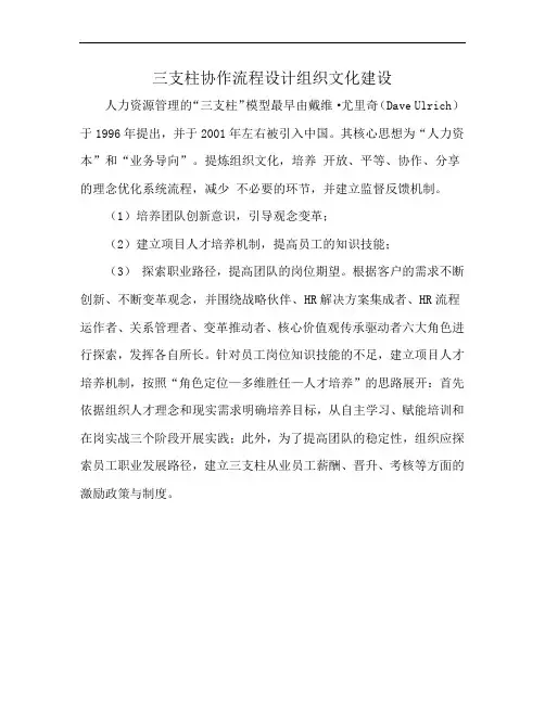 三支柱协作流程设计组织文化建设