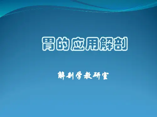 胃的应用解剖课件.