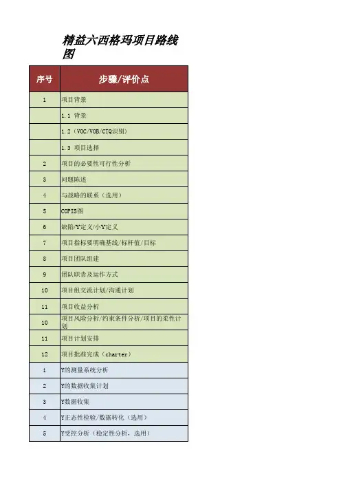 精益六西格玛项目推进步骤及表格设计