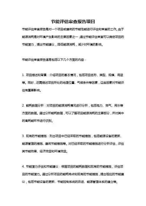 节能评估审查报告项目