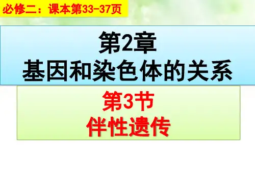 人教版高中生物必修2  2.3伴性遗传