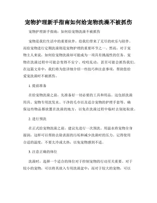 宠物护理新手指南如何给宠物洗澡不被抓伤