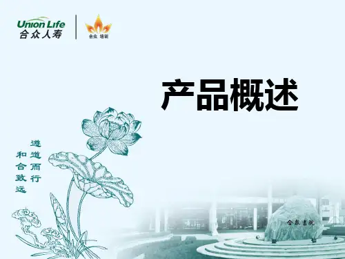 产品概述