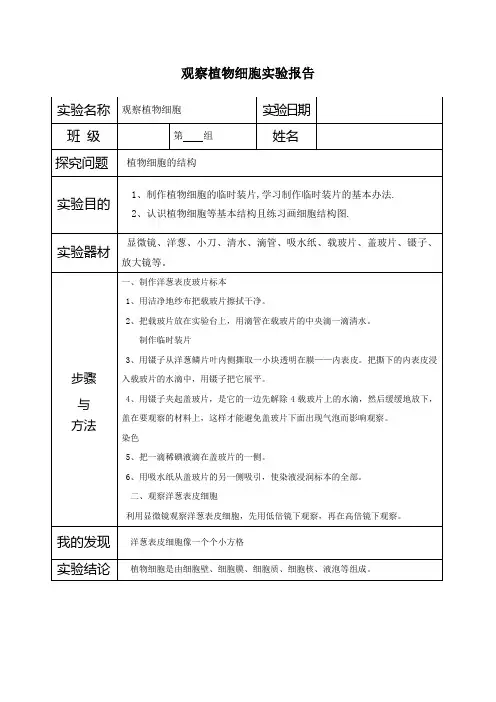 七年级上册生物观察植物细胞实验报告