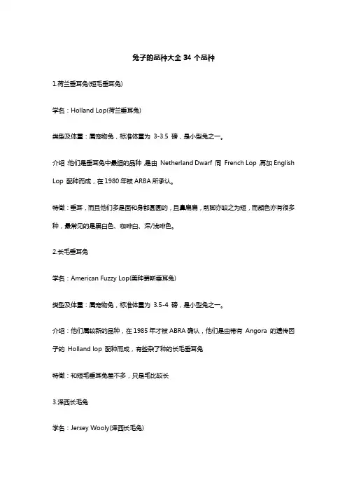 兔子的品种大全34个品种