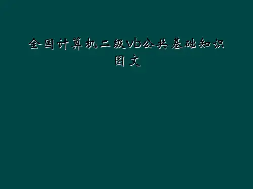 全国计算机二级vb公共基础知识图文