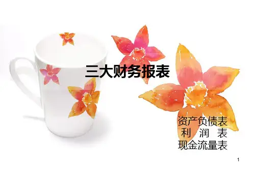 财务报表——资产负债表PPT课件