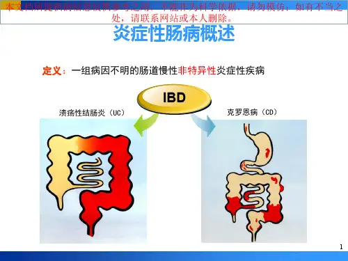 炎症性肠病IBDPPT培训课件