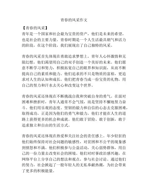 青春的风采作文
