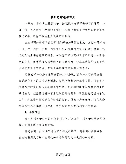 项目总结报告范文（2篇）