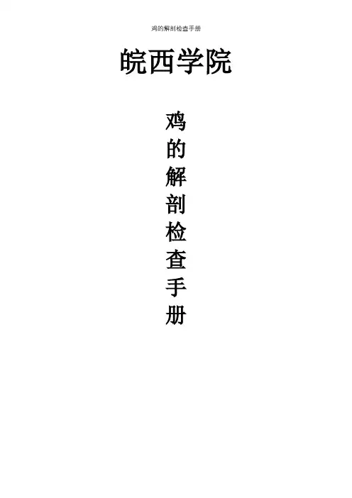 鸡的解剖检查手册【精选文档】