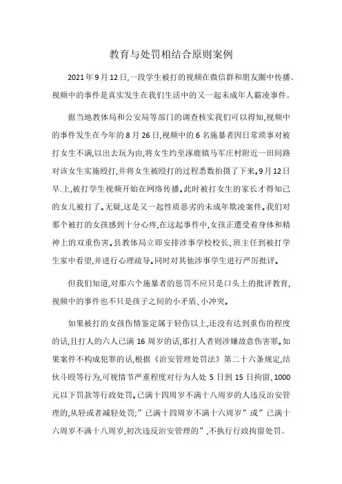 教育与处罚相结合原则案例
