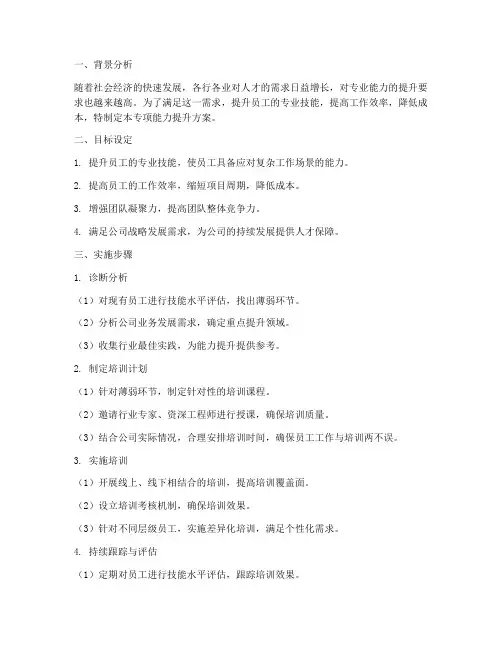 专项能力提升方案