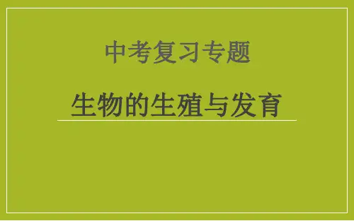 人教版生物八年级下册第七章生物的生殖和发育 复习课件(共29张PPT)