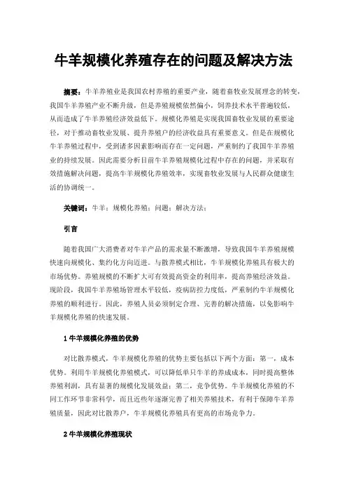 牛羊规模化养殖存在的问题及解决方法