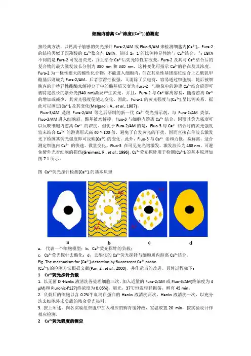 细胞内游离钙浓度测定