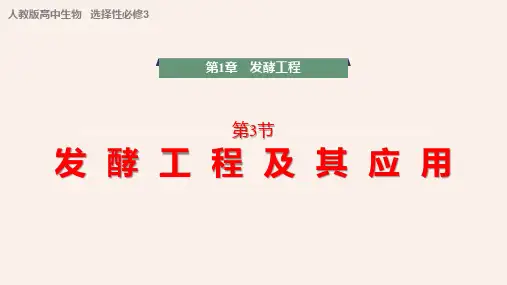 【高中生物】发酵工程及其应用课件 2022-2023学年高二下学期生物人教版选择性必修3