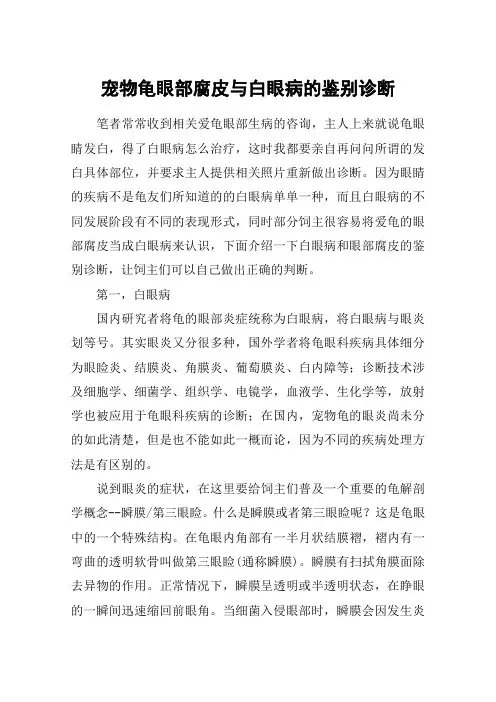宠物龟眼部腐皮与白眼病的鉴别诊断