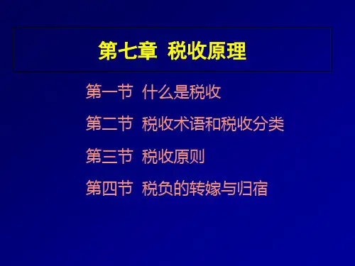税收原理(PPT28页).pptx