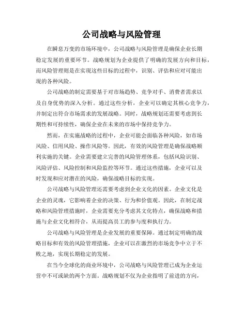 公司战略与风险管理