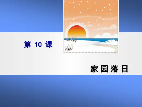 10家园落日