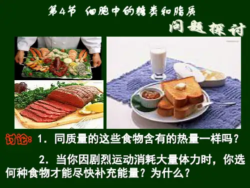细胞中的糖类和脂质ppt课件