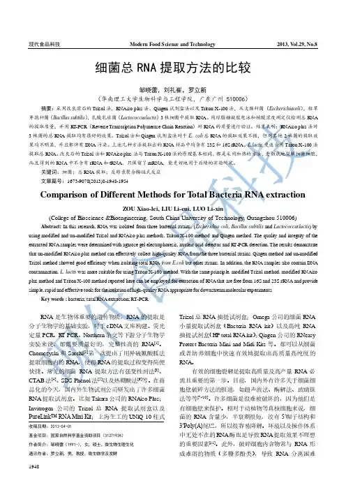 细菌总RNA提取方法的比较