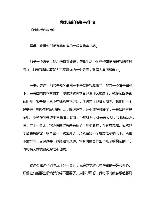 我和禅的故事作文