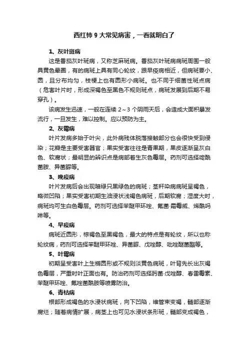 西红柿9大常见病害，一看就明白了