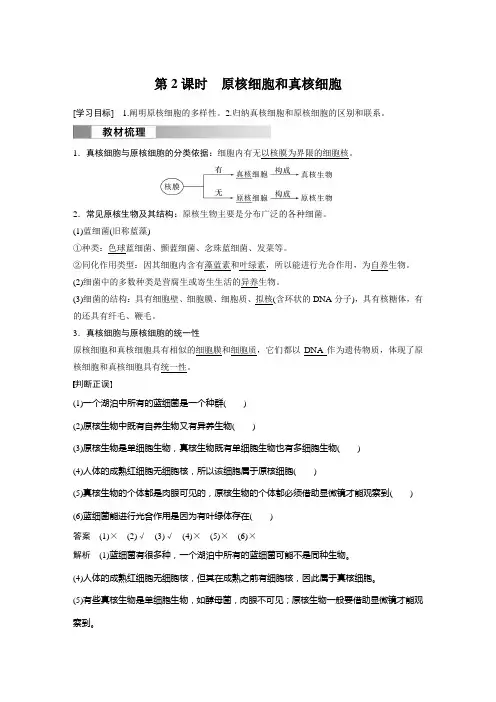 高中生物新教材必修一同步讲义 第1章 第2节 第2课时 原核细胞和真核细胞