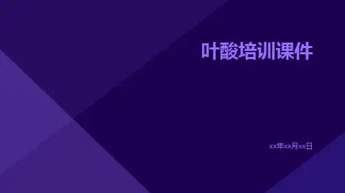 叶酸培训课件