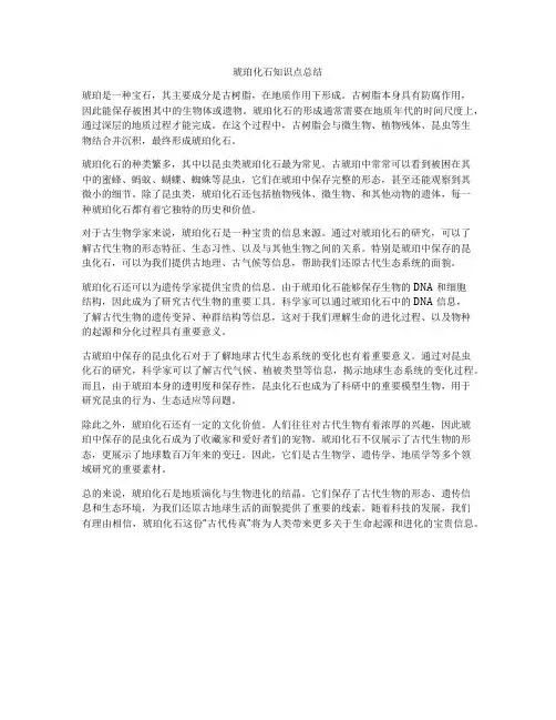 琥珀化石知识点总结