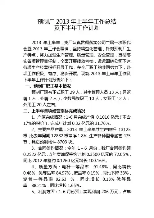 yzc  2013上半年工作总结(定稿2)