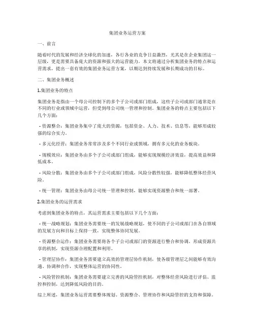 集团业务运营方案