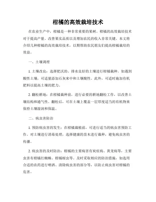 柑橘的高效栽培技术