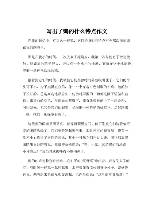 写出了鹅的什么特点作文