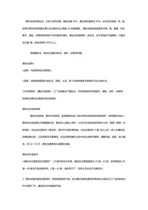 黄粉虫养殖技术