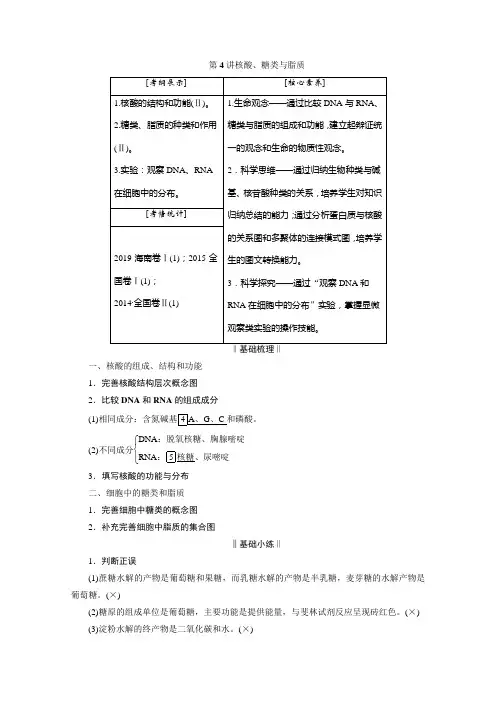 2021届高三生物一轮复习学案：第4讲 核酸、糖类与脂质含解析