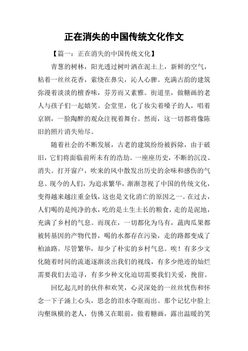 正在消失的中国传统文化作文