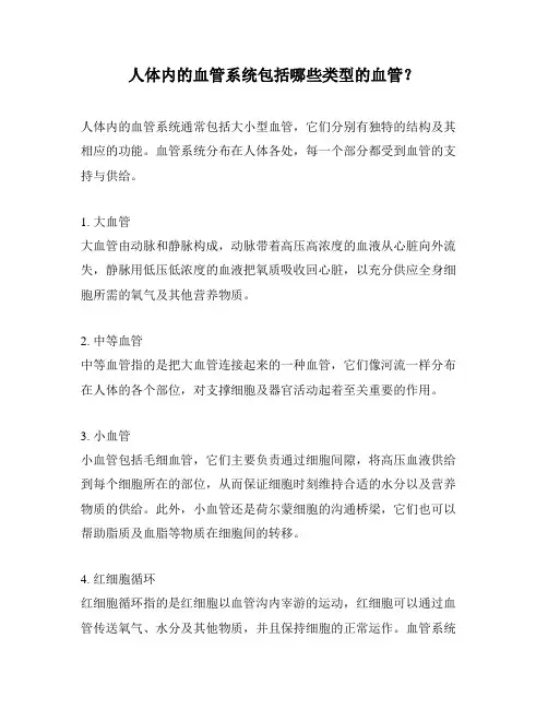 人体内的血管系统包括哪些类型的血管？