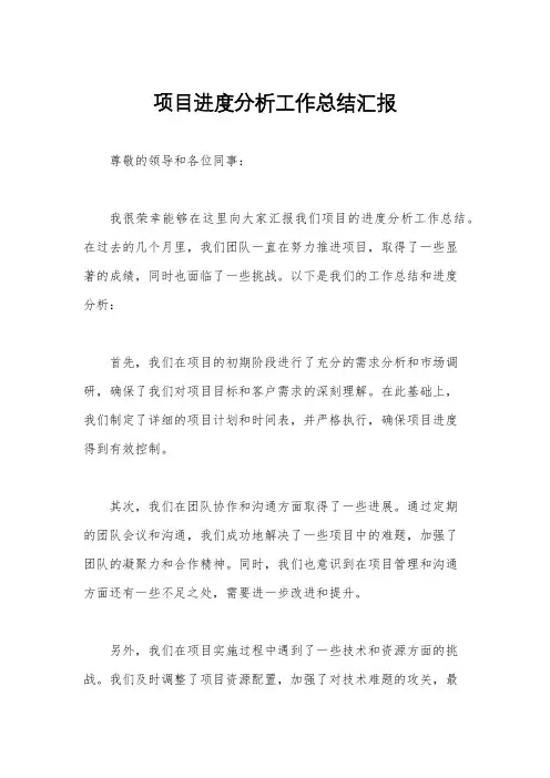 项目进度分析工作总结汇报