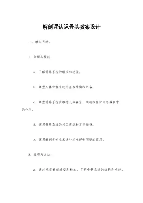 解剖课认识骨头教案设计