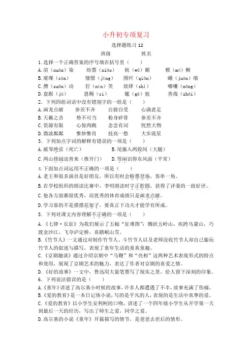 小升初专项复习选择题练习(试题)部编版语文六年级下册 (4)