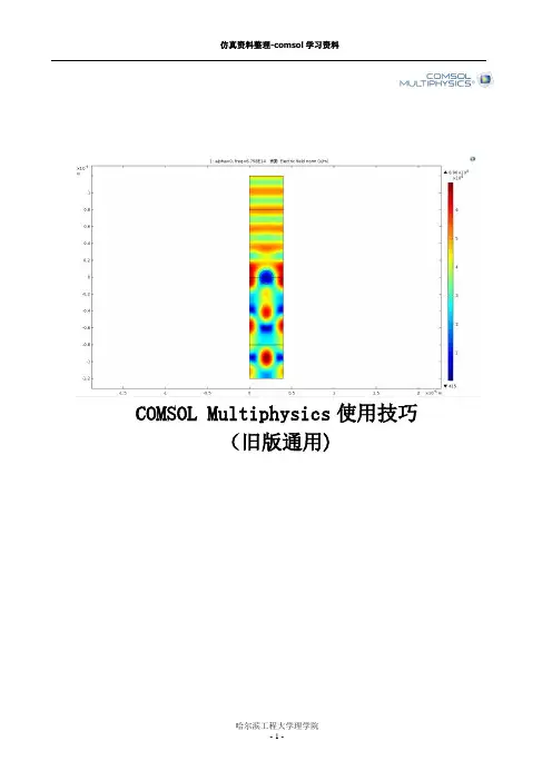 COMSOL使用技巧---精品管理资料