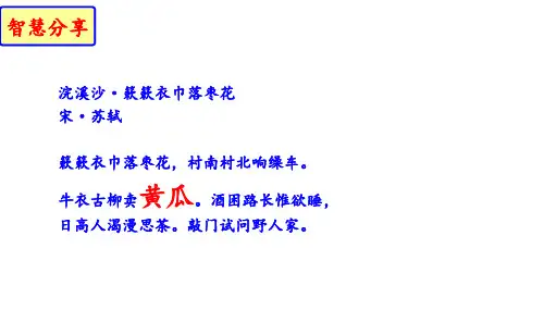 第二单元技术实践黄瓜课件北京出版社八年级劳动技术《种植技术》