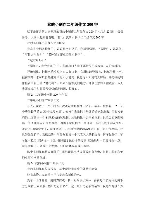 我的小制作二年级作文200字