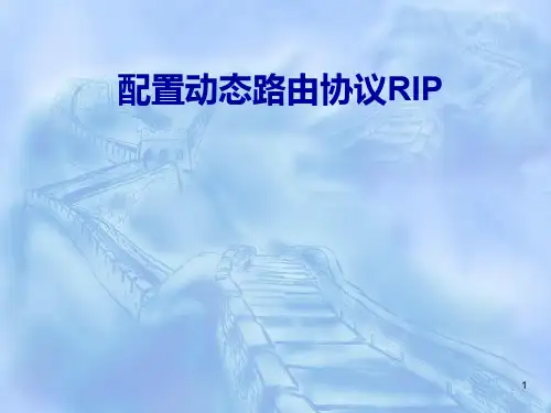 配置动态路由协议RIP