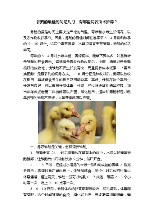 养鹅的最佳时间是几月，有哪些饲养技术推荐？