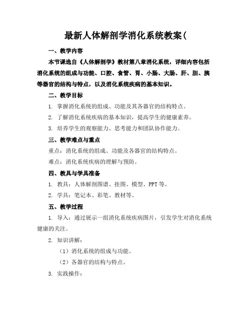 最新人体解剖学消化系统教案(