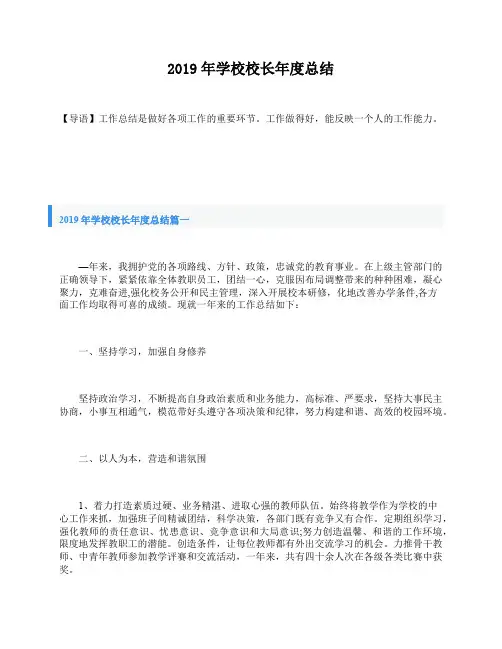 2019年学校校长年度总结